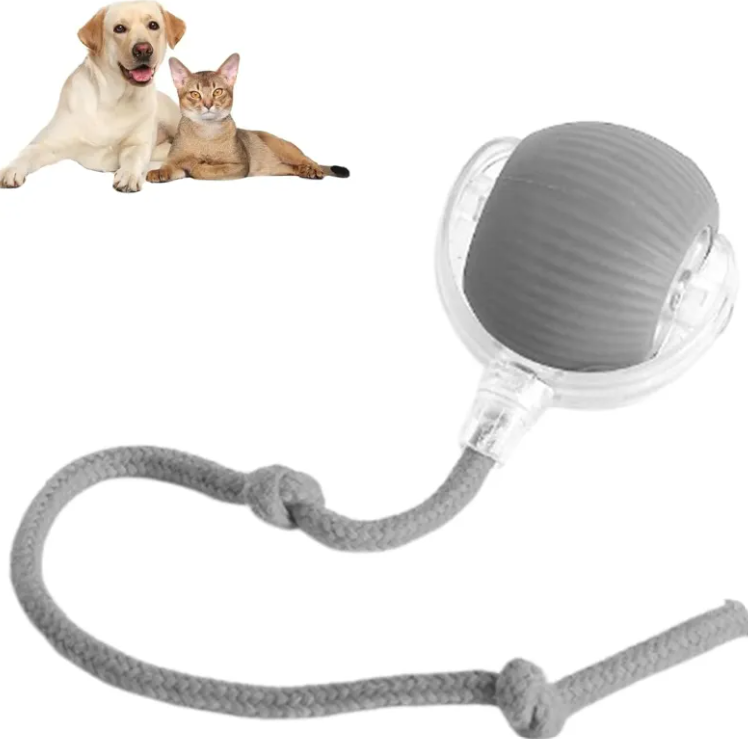 Pet Center